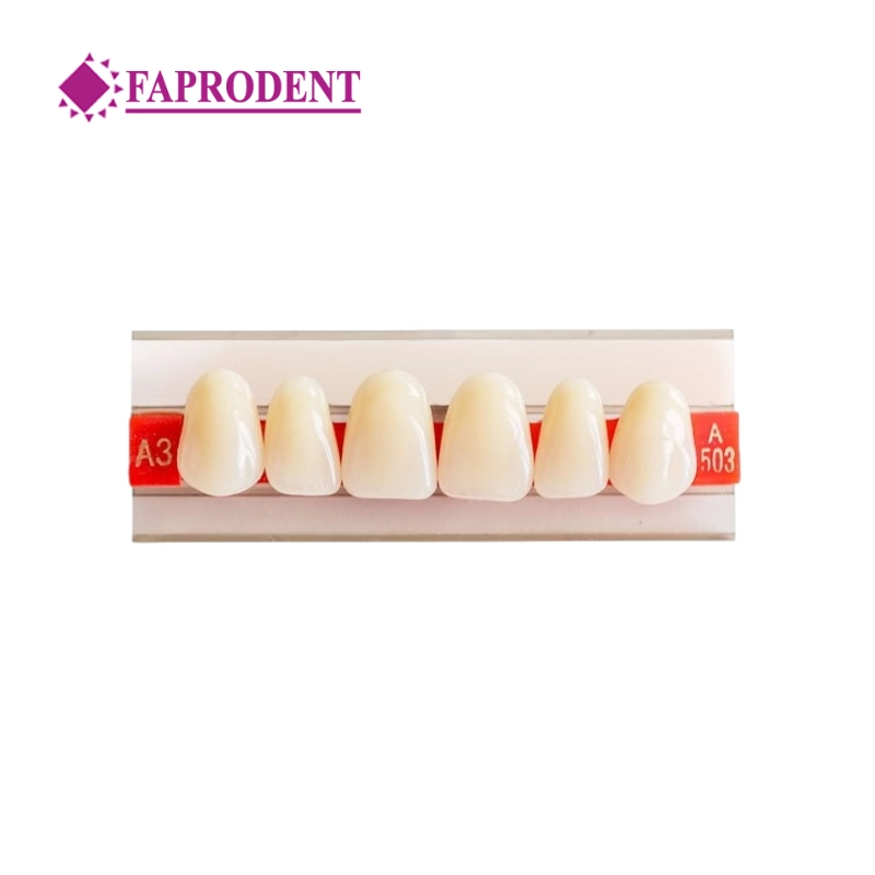 Dents Prothétiques - UNIDENT