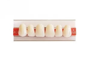 Dents prothétique